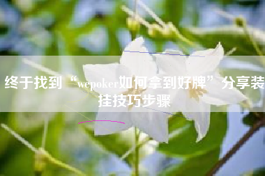 终于找到“wepoker如何拿到好牌”分享装挂技巧步骤 终于找到“wepoker如何拿到好牌”分享装挂技巧步骤