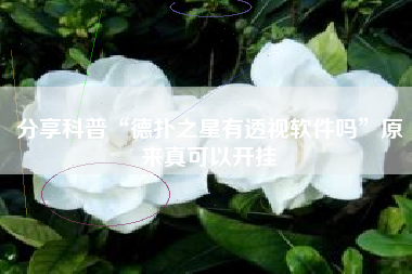 分享科普“德扑之星有透视软件吗	”原来真可以开挂