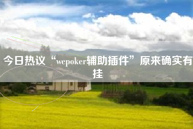 今日热议“wepoker辅助插件	”原来确实有挂