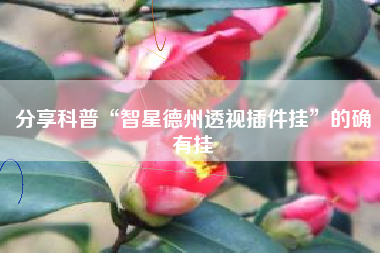 分享科普“智星德州透视插件挂	”的确有挂