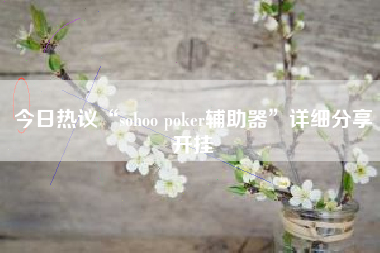 今日热议“sohoo poker辅助器”详细分享开挂