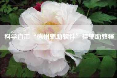 科学直击“德州辅助软件	”挂辅助教程