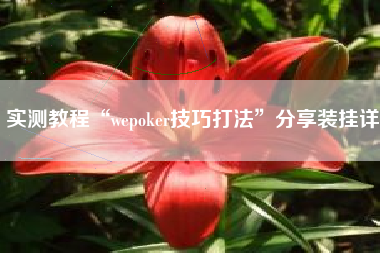 实测教程“wepoker技巧打法”分享装挂详