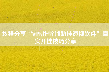教程分享“WPK作弊辅助挂透视软件”真实开挂技巧分享