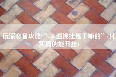 玩家必备攻略“wpk透视挂是干嘛的”(其实真的能开挂)