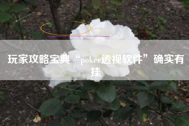 玩家攻略宝典“poker透视软件	”确实有挂