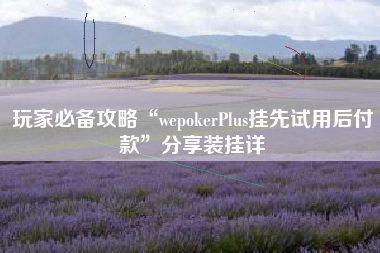 玩家必备攻略“wepokerPlus挂先试用后付款	”分享装挂详