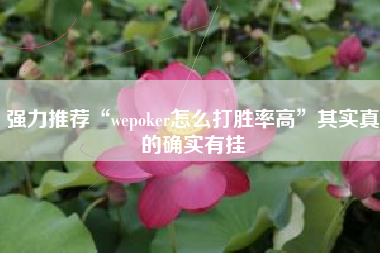 强力推荐“wepoker怎么打胜率高”其实真的确实有挂