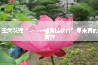 重大发现“wepoker辅助挂软件”原来真的有挂 重大发现“wepoker辅助挂软件”原来真的有挂