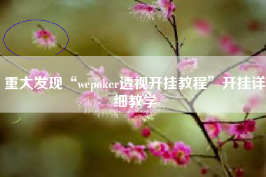 重大发现“wepoker透视开挂教程”开挂详细教学