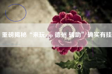 重磅揭秘“来玩app 德州 辅助”确实有挂 重磅揭秘“来玩app 德州 辅助”确实有挂