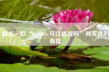 盘点一款“wepoker可以透视吗”其实真的有挂