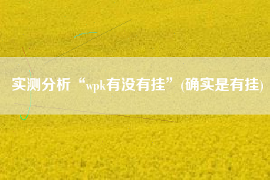 实测分析“wpk有没有挂”(确实是有挂)