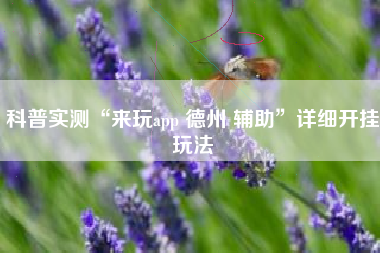 科普实测“来玩app 德州 辅助”详细开挂玩法