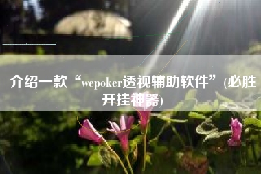 介绍一款“wepoker透视辅助软件	”(必胜开挂神器)