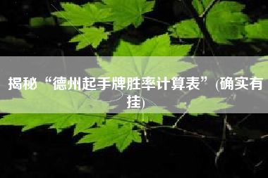 揭秘“德州起手牌胜率计算表”(确实有挂)