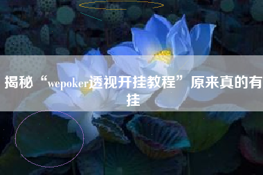 揭秘“wepoker透视开挂教程”原来真的有挂