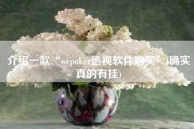 介绍一款“wepoker透视软件购买	”(确实真的有挂)
