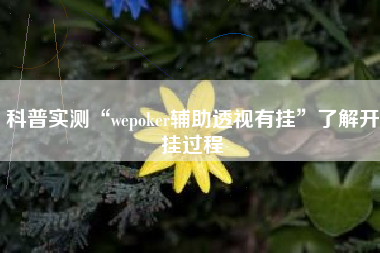 科普实测“wepoker辅助透视有挂”了解开挂过程