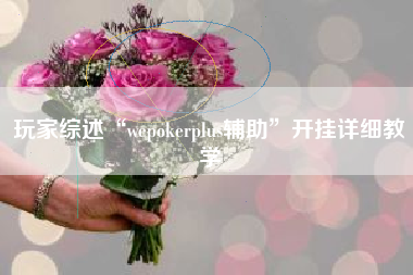 玩家综述“wepokerplus辅助	”开挂详细教学