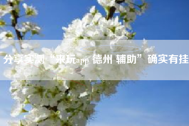 分享实测“来玩app 德州 辅助	”确实有挂