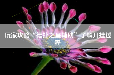 玩家攻略“德扑之星辅助”了解开挂过程