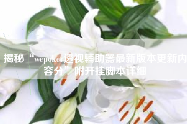 揭秘“wepoker透视辅助器最新版本更新内容分”附开挂脚本详细