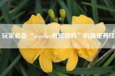 玩家必备“wepoker有辅助吗”的确是有挂