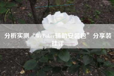 分析实测“WePoker辅助安装包”分享装挂详