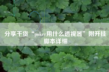 分享干货“poker用什么透视器”附开挂脚本详细