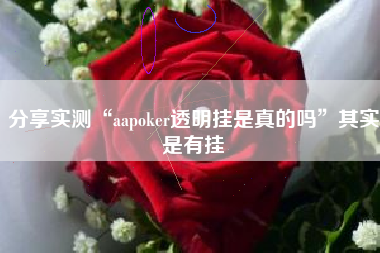 分享实测“aapoker透明挂是真的吗”其实是有挂