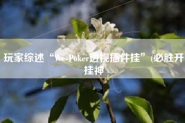 玩家综述“We-Poker透视插件挂”(必胜开挂神
