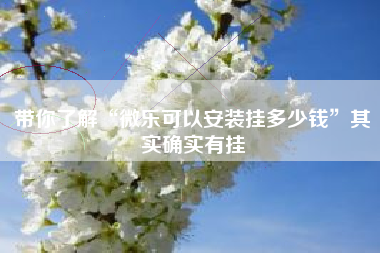 带你了解“微乐可以安装挂多少钱”其实确实有挂