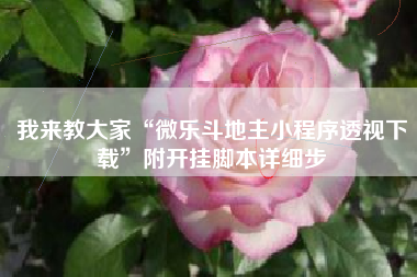 我来教大家“微乐斗地主小程序透视下载”附开挂脚本详细步