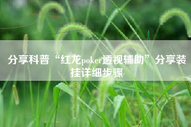 分享科普“红龙poker透视辅助”分享装挂详细步骤