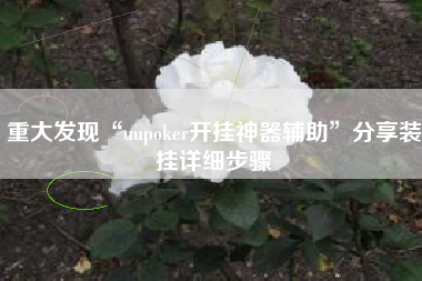 重大发现“uupoker开挂神器辅助”分享装挂详细步骤 重大发现“uupoker开挂神器辅助”分享装挂详细步骤