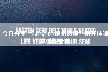 今日分享“sohoopoker德州透视”附开挂脚本详细步骤