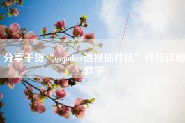 分享干货“wepoker透视插件挂	”开挂详细教学