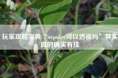 玩家攻略宝典“wepoker可以透视吗”其实真的确实有挂