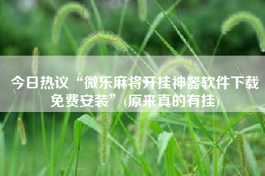 今日热议“微乐麻将开挂神器软件下载免费安装”(原来真的有挂)