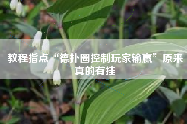 教程指点“德扑圈控制玩家输赢”原来真的有挂