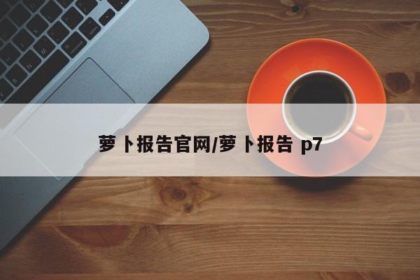 萝卜报告官网/萝卜报告 p7
