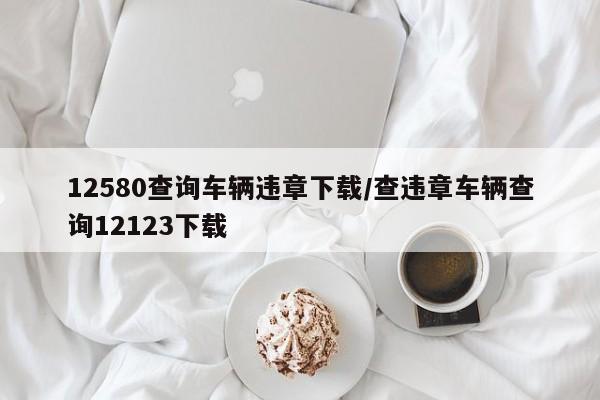 12580查询车辆违章下载/查违章车辆查询12123下载