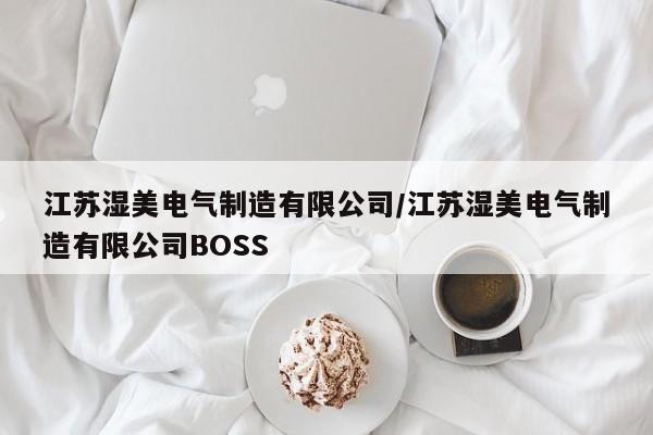 江苏湿美电气制造有限公司/江苏湿美电气制造有限公司BOSS