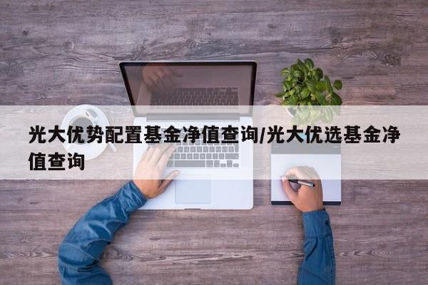 光大优势配置基金净值查询/光大优选基金净值查询