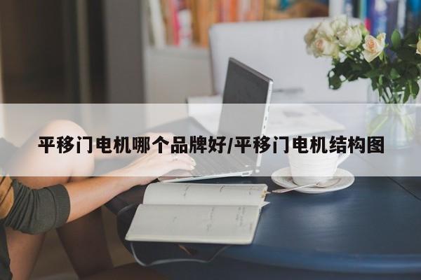 平移门电机哪个品牌好/平移门电机结构图
