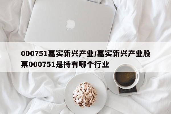 000751嘉实新兴产业/嘉实新兴产业股票000751是持有哪个行业