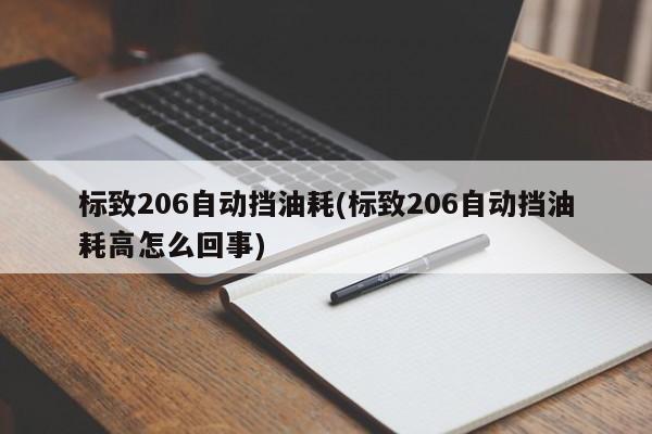 标致206自动挡油耗(标致206自动挡油耗高怎么回事)