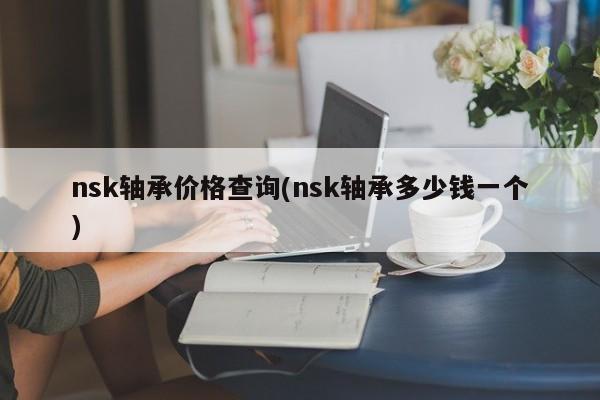 nsk轴承价格查询(nsk轴承多少钱一个)