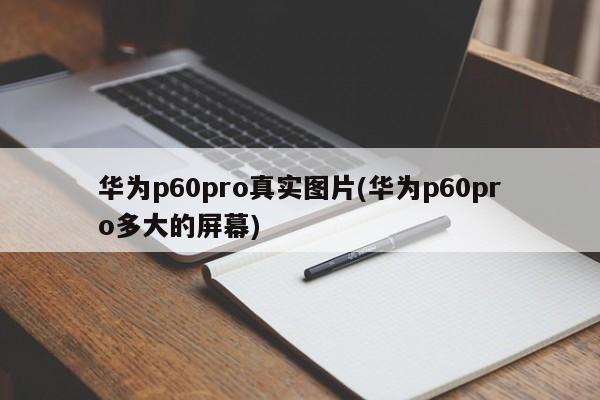 华为p60pro真实图片(华为p60pro多大的屏幕)